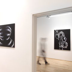 Anemona Crisan, Ausstellungsansicht Loft8, 2017