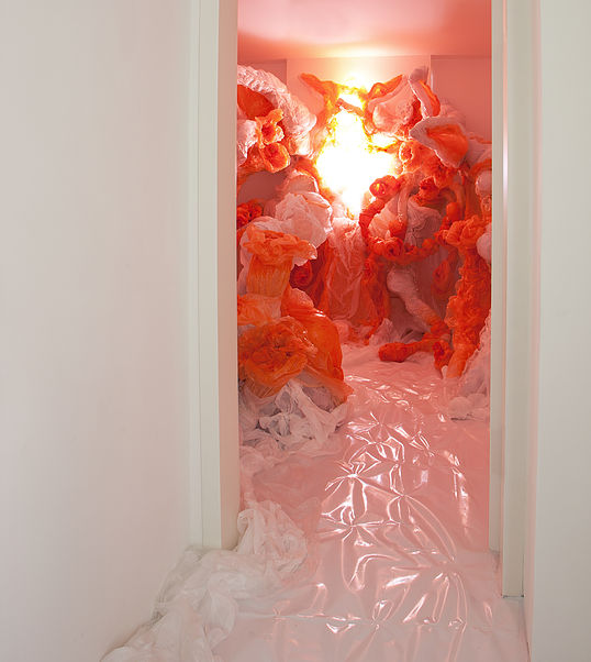 Keiyona Stumpf, Heyday, 2014, Rauminstallation, Leim, Pigment, Plastickfolie, Lack, künstliches Licht