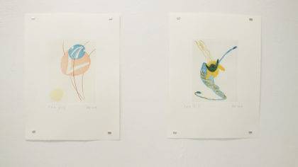 Andreas Orsini-Rosenberg, insects.samples, Loft8 Galerie für zeitgenösssische Kunst, 2019